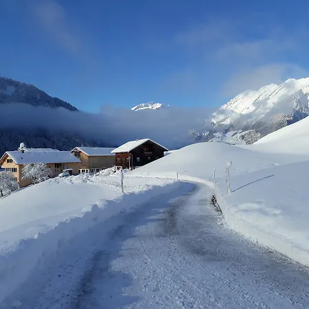 Haus Erna Gæstehus Schoppernau
